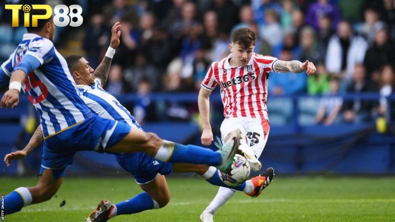 Lịch sử đối đầu giữa Stoke City vs Sheffield Wednesday