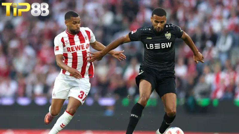 Lịch sử đối đầu giữa Stuttgart vs FC Koln