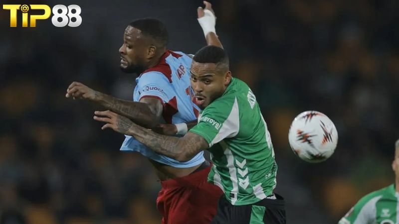 Lịch sử đối đầu giữa Panathinaikos vs Plzen