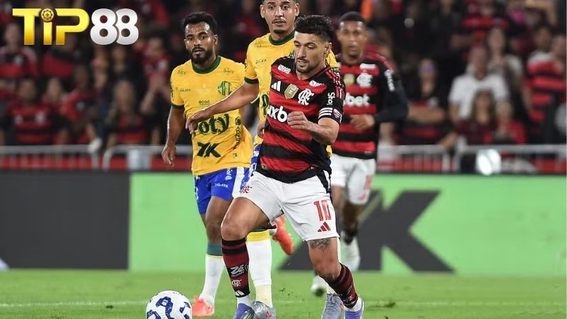 Lịch sử đối đầu giữa Flamengo vs Mirassol