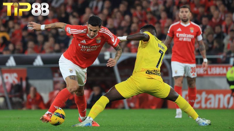 Lịch sử đối đầu giữa Benfica vs Braga
