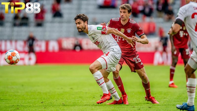 Lịch sử đối đầu giữa Cologne vs Bayern Munich