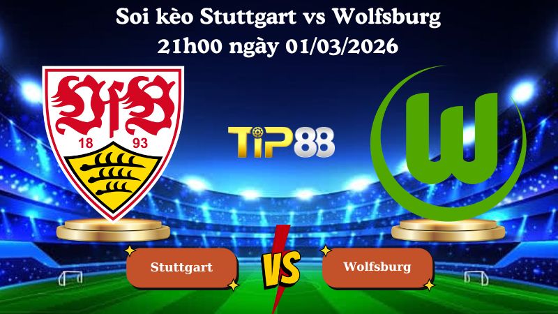 soi kèo Stuttgart vs Wolfsburg 21h00 ngày 01/03/2026