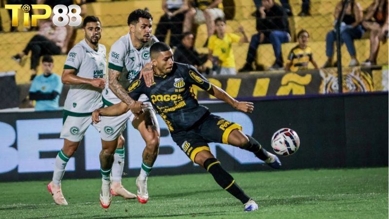 Lịch sử đối đầu giữa Goias vs Novorizontino