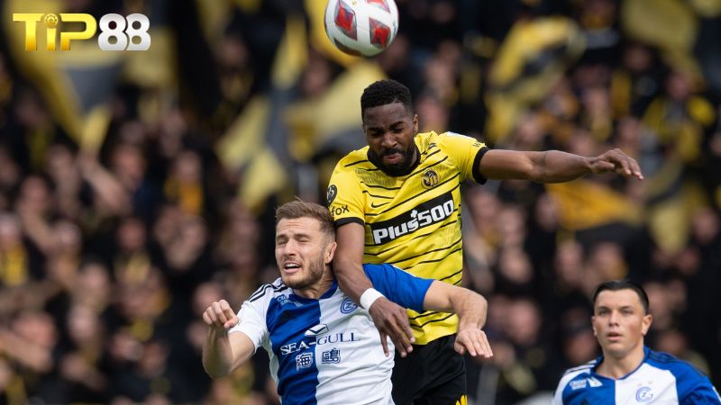 Lịch sử đối đầu Grasshoppers vs Young Boys
