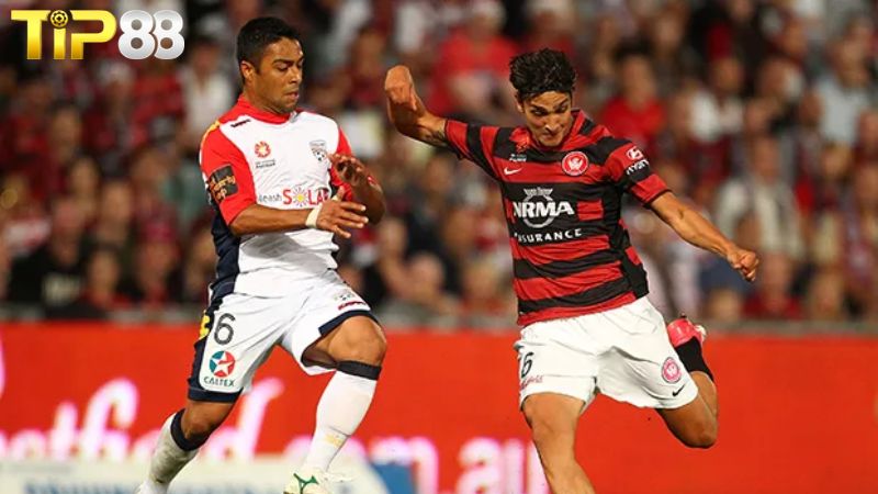 Lịch sử đối đầu giữa WS Wanderers vs Adelaide United