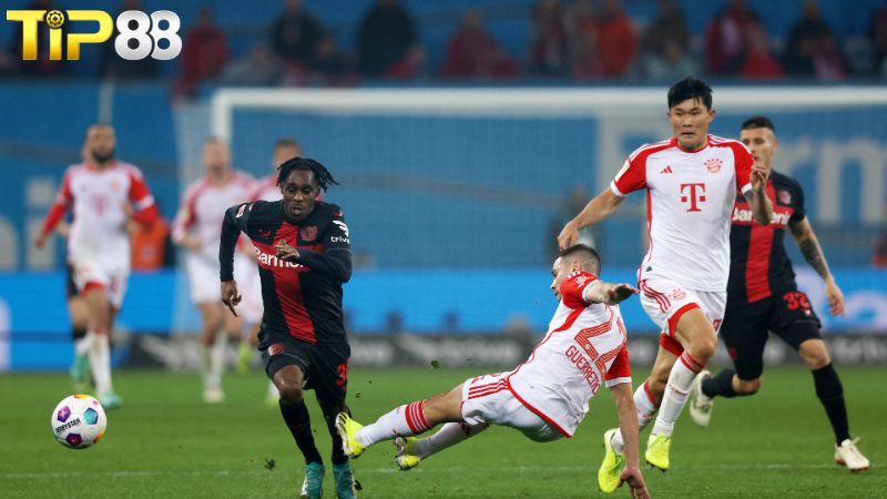 Lịch sử đối đầu giữa Bayer Leverkusen vs Bayern Munich