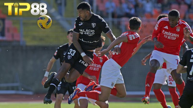 Lịch sử đối đầu giữa Benfica vs Academico Viseu