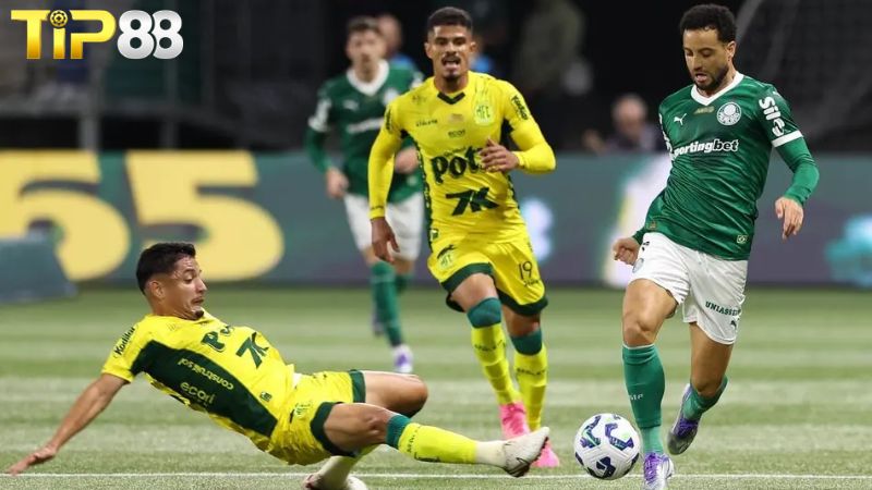 Lịch sử đối đầu giữa Palmeiras vs Mirassol