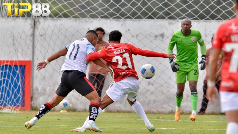Lịch sử đối đầu giữa Guayaquil City vs Leones Del Norte