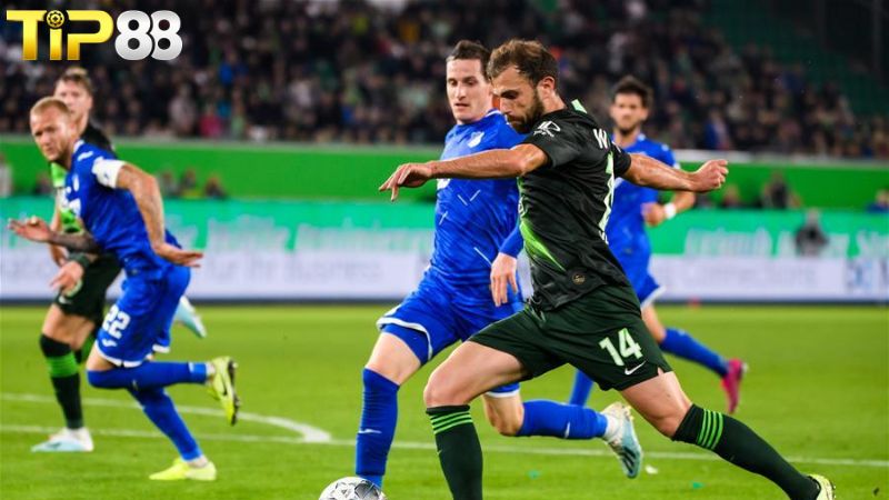 Lịch sử đối đầu giữa Hoffenheim vs Wolfsburg