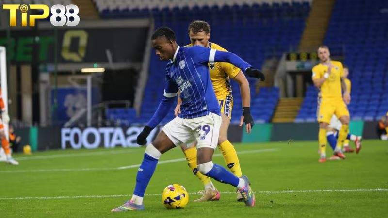 Lịch sử đối đầu giữa Cardiff vs AFC Wimbledon