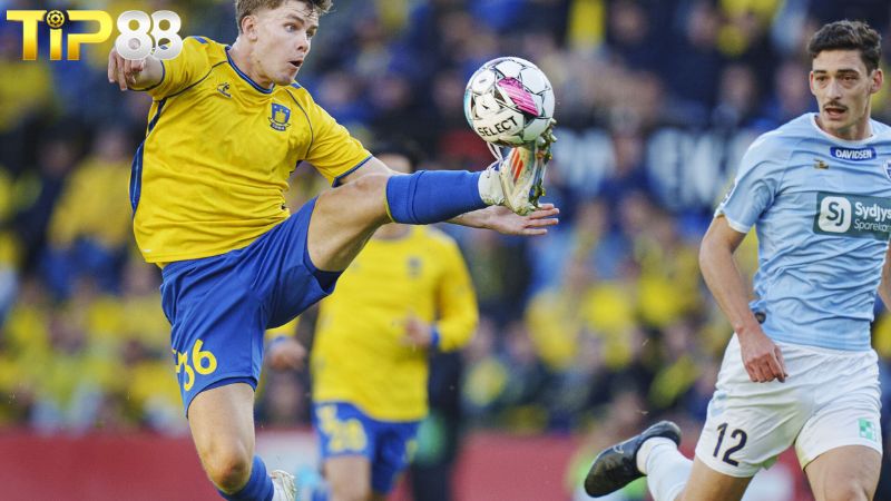 Lịch sử đối đầu giữa Brondby vs Sonderjyske
