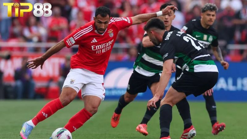 Lịch sử đối đầu giữa Sporting Lisbon vs Benfica