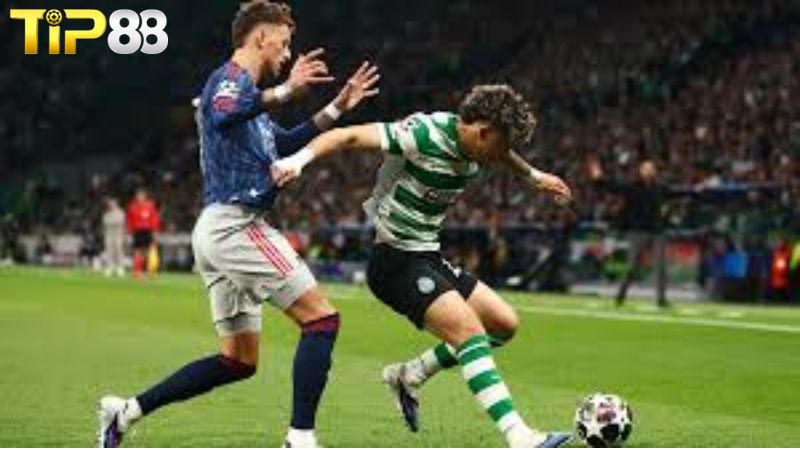 Lịch sử đối đầu giữa Sporting CP vs Tondela