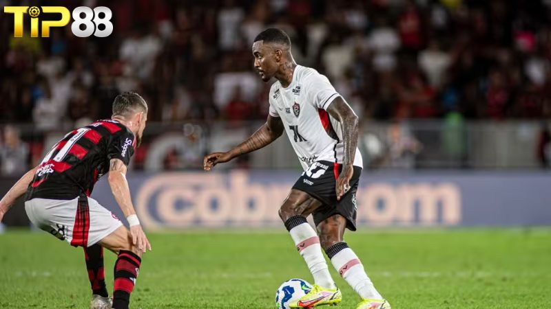 Lịch sử đối đầu giữa Vitoria vs Flamengo