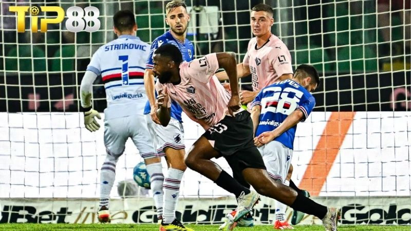 Lịch sử đối đầu giữa Palermo vs Sampdoria