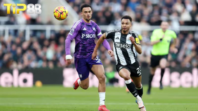 Lịch sử đối đầu Newcastle United vs Fulham