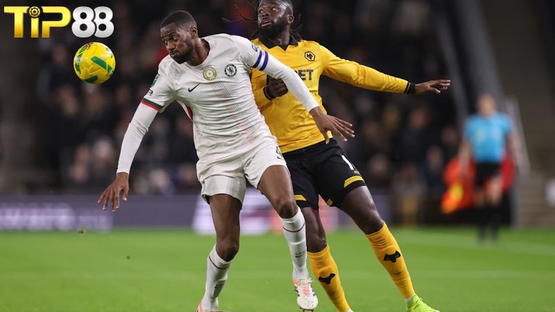 Lịch sử đối đầu Chelsea vs Wolves