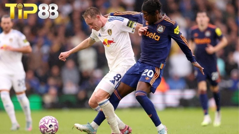 Lịch sử đối đầu giữa Leeds vs Newcastle