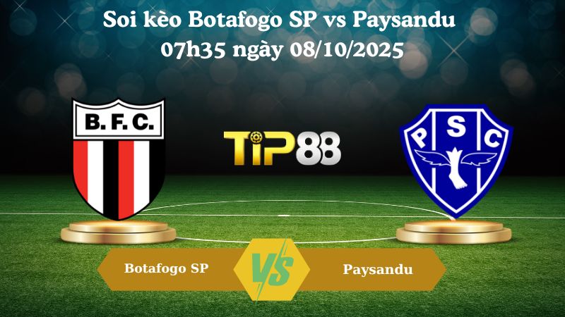 Nhận định soi kèo Botafogo SP vs Paysandu 07h35 ngày 08/10/2025