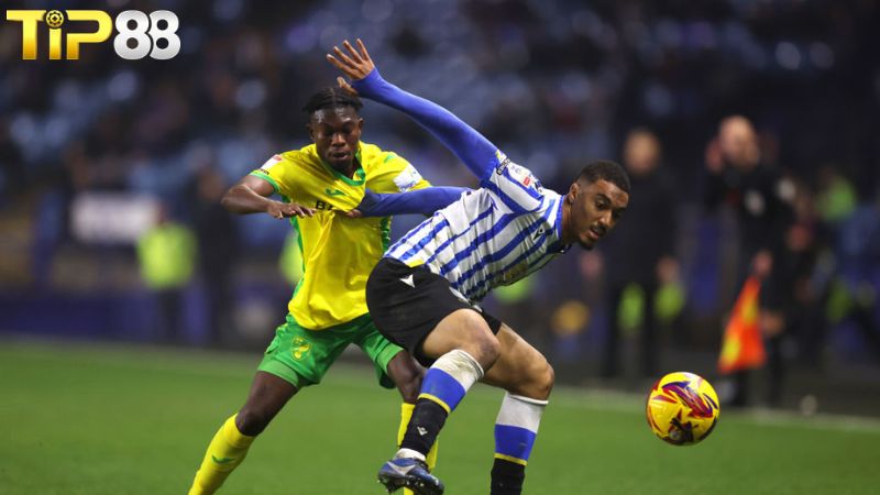 Lịch sử đối đầu giữa Norwich vs Sheffield Wed