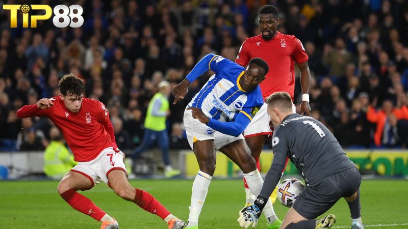 Lịch sử đối đầu giữa Brighton vs Nottingham