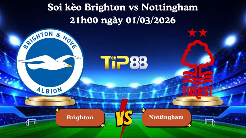 soi kèo Brighton vs Nottingham 21h00 ngày 01/03/2026