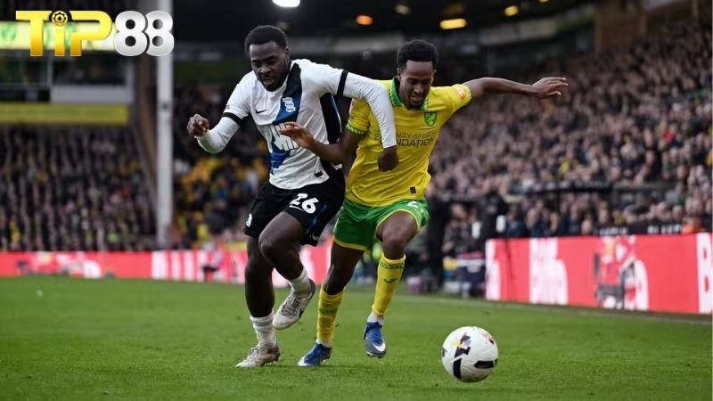 Lịch sử đối đầu giữa Norwich vs Birmingham
