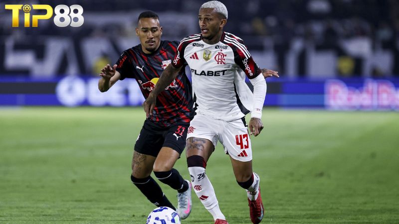 Lịch sử đối đầu giữa Bragantino vs Flamengo RJ