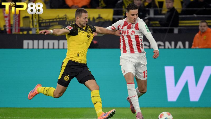 Lịch sử đối đầu giữa FC Koln vs Borussia Dortmund