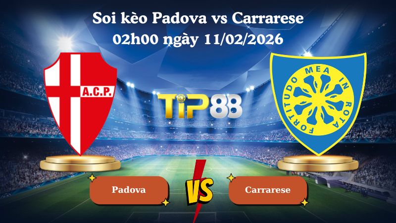 soi kèo Padova vs Carrarese 02h00 ngày 11/02/2026