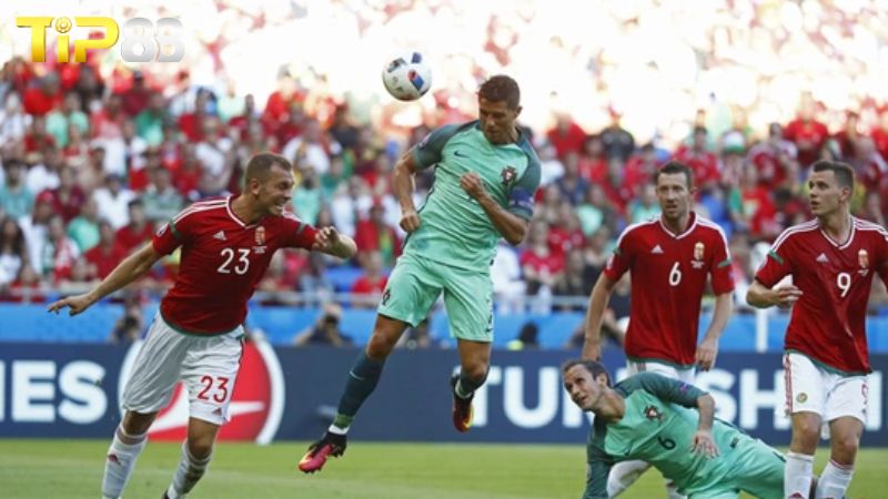 Phong độ của Bồ Đào Nha vs Hungary