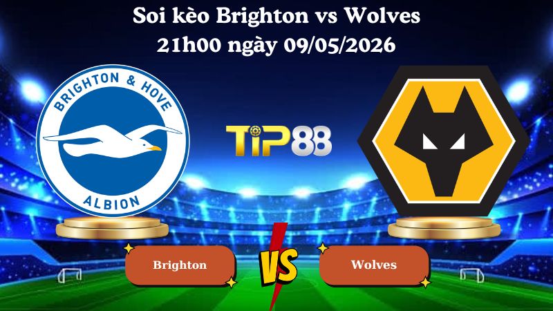 soi kèo Brighton vs Wolves 21h00 ngày 09/05/2026