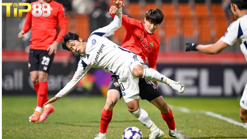 Lịch sử đối đầu giữa Gangwon vs Machida Zelvia