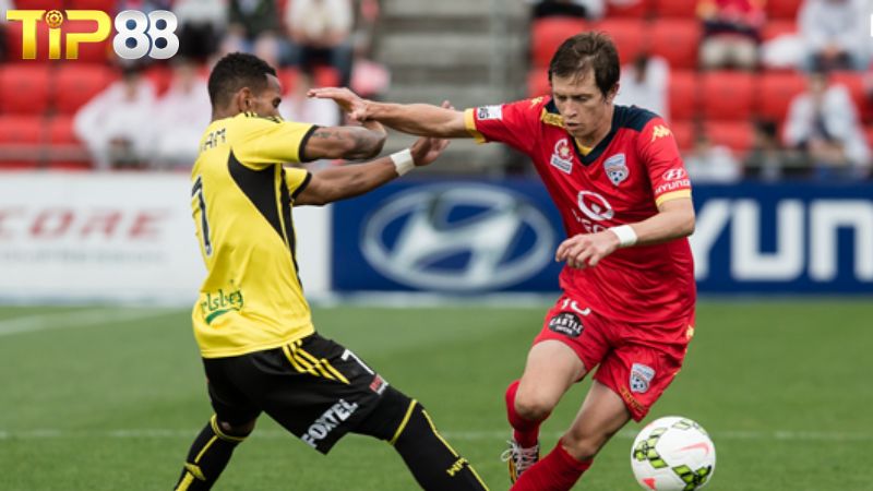 Lịch sử đối đầu giữa Adelaide United vs Wellington Phoenix