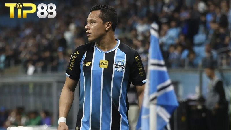 Lịch sử đối đầu giữa Gremio vs Mirassol
