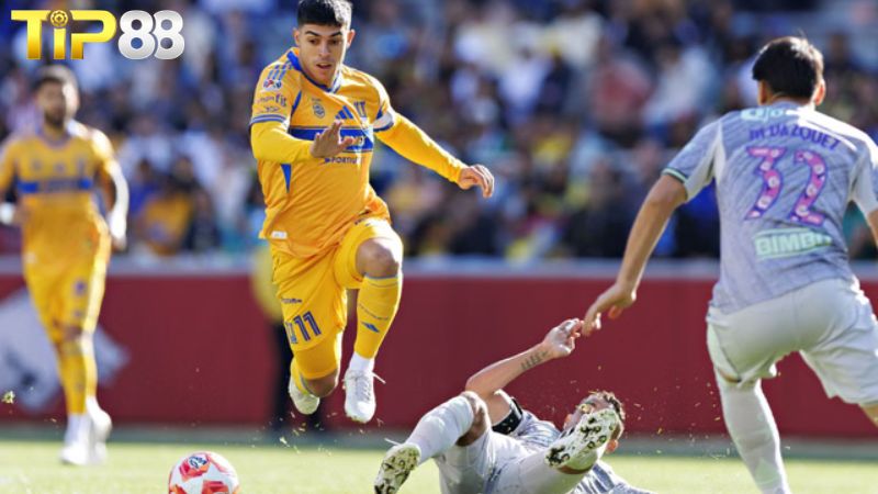 Lịch sử đối đầu giữa Tigres UANL vs Seattle Sounders