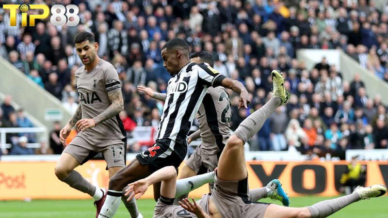 Đối đầu Newcastle United vs Tottenham Hotspur