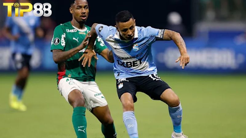 Lịch sử đối đầu giữa Sporting Cristal vs Palmeiras