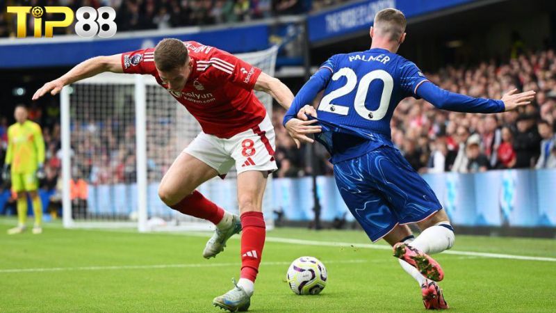 Lịch sử đối đầu giữa Chelsea vs Nottingham