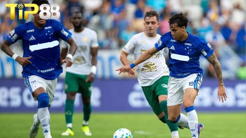Lịch sử đối đầu giữa Cruzeiro vs Chapecoense