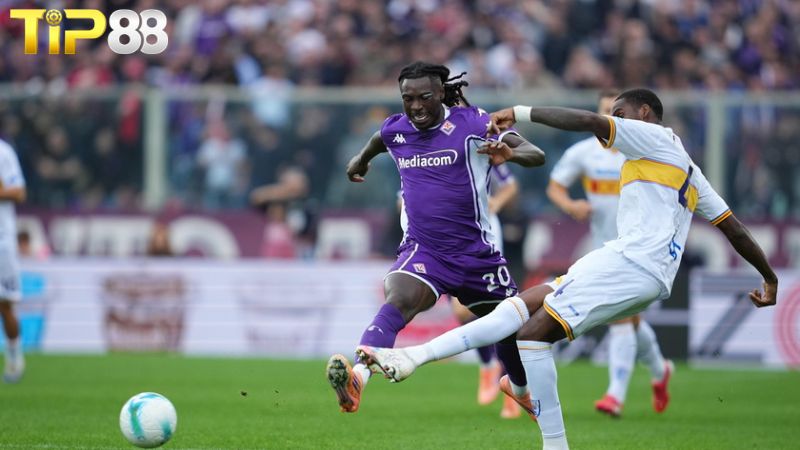 Lịch sử đối đầu giữa Lecce vs Fiorentina