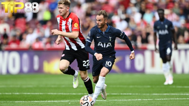 Lịch sử đối đầu Brentford vs Tottenham