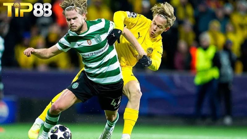 Lịch sử đối đầu giữa Sporting Lisbon vs Bodo Glimt