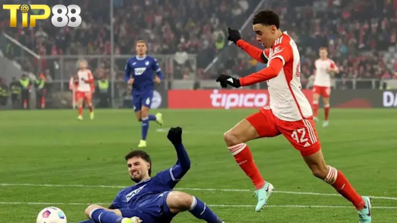 Lịch sử đối đầu giữa Bayern Munich vs Hoffenheim