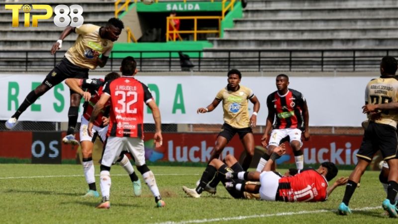 Lịch sử đối đầu giữa Pereira vs Cucuta