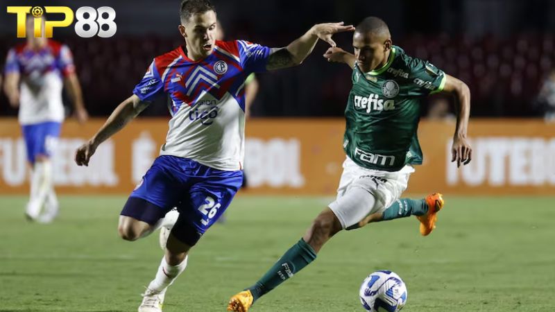 Lịch sử đối đầu giữa Cerro Porteno vs Palmeiras