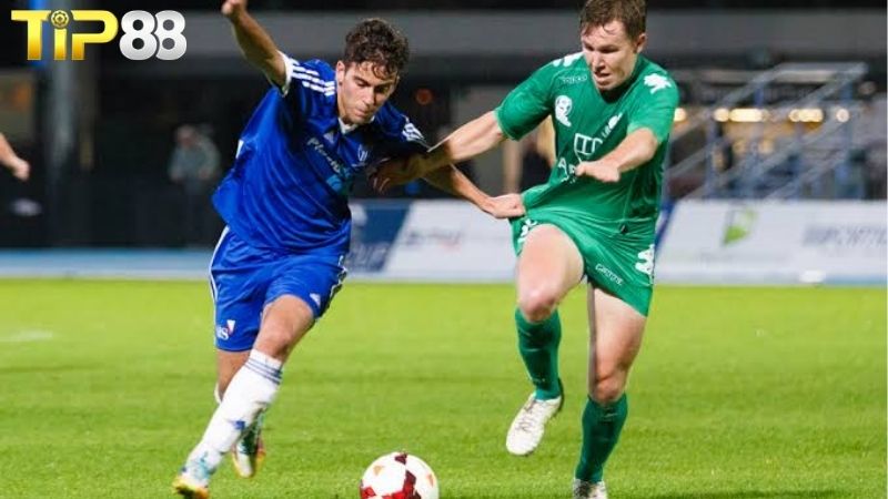 Lịch sử đối đầu giữa Bentleigh Greens vs South Melbourne