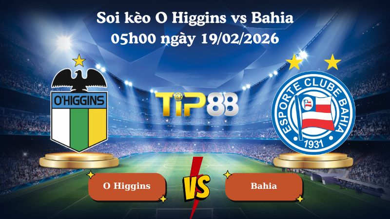 soi kèo O Higgins vs Bahia 05h00 ngày 19/02/2026